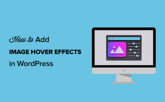 add image hover effects wordpress opengraph