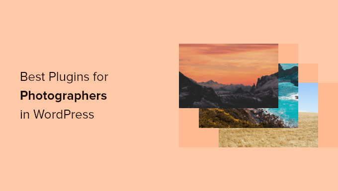 best plugins for photographers for wordpress