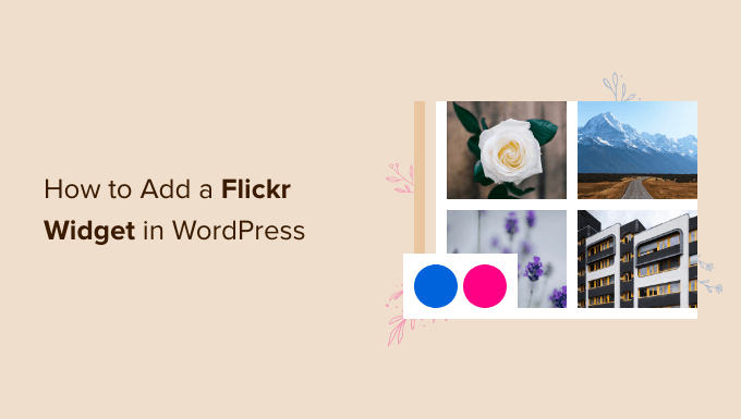 how to add a flicker widget in wordpress og