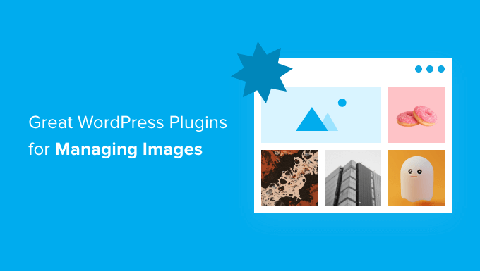 wordpress plugins for managing images og