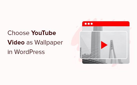 youtube video as wallpaper in wordpress